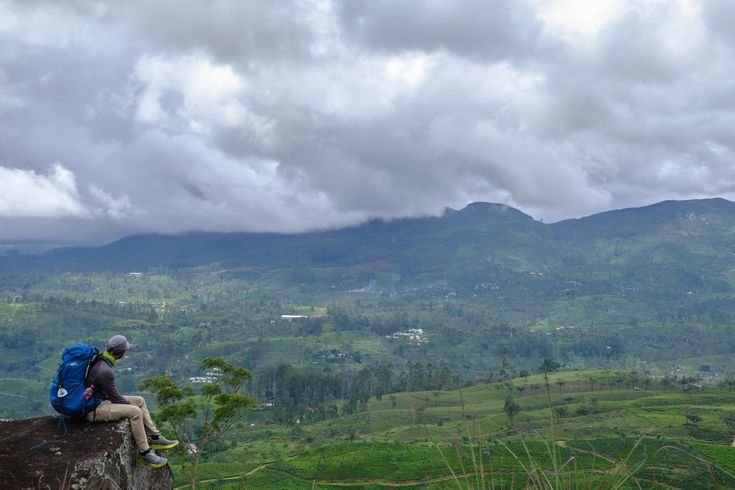 Pekoe Trail