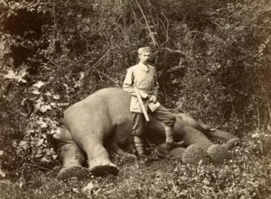 The colonial connection to Sri Lanka’s wild life