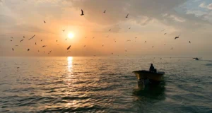 Kalpitiya Lagoon Mornings: A Close Look at Fishermen, Dolphins, and Salt Winds